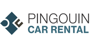 PINGOUIN CAR